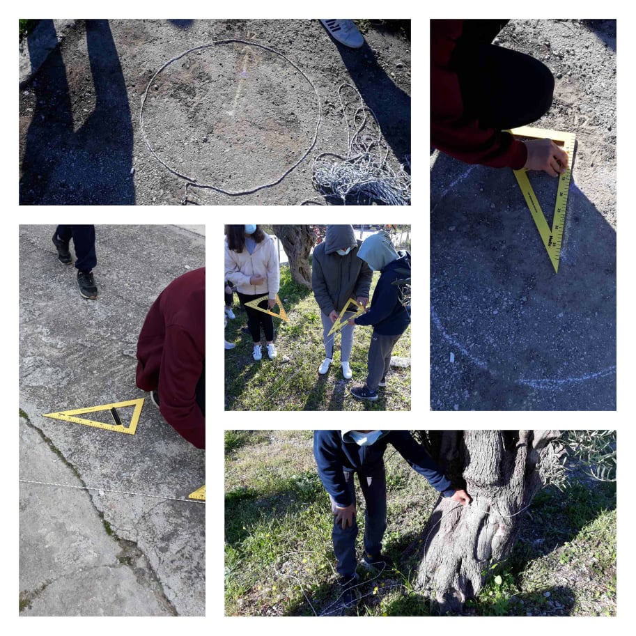 278150193 1037045590501131 1626285584997079143 n