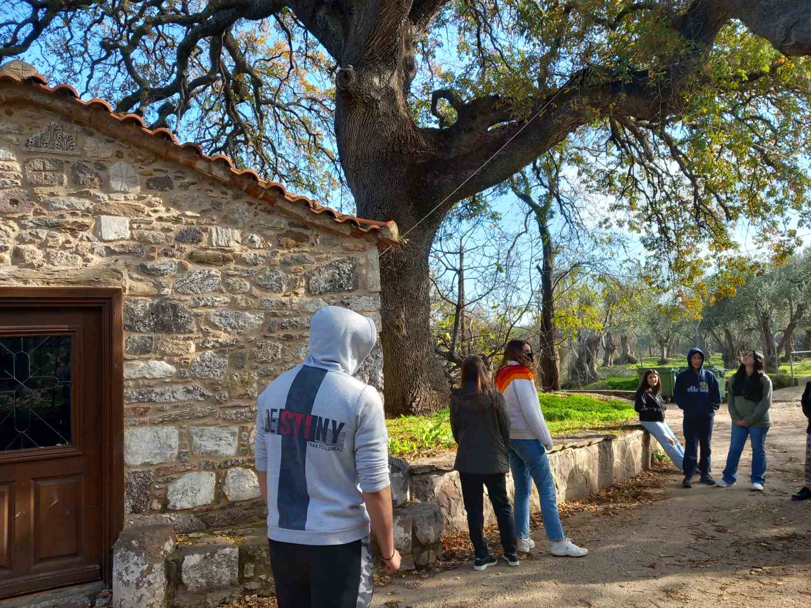 viber image 2022-12-14 20-20-02-655