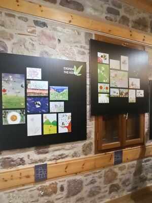 369282165 301744322689832 1531276258676811023 n