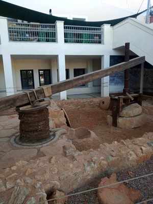 370282482 2009259966128002 2510768281002998824 n