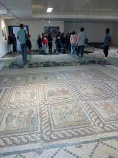 387641333 717440880427442 7248707856390178627 n